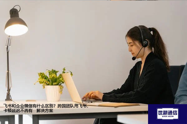 飞书和企业微信有什么区别？跨国团队用飞书，卡顿延迟不再有--解决方案//世耕通信全球办公专网专线
