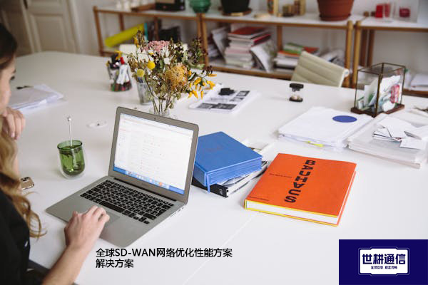 全球SD-WAN网络优化性能方案 --解决方案//世耕通信全球办公专网专线