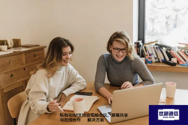 私有化IM支持音视频会议、屏幕共享与在线协作--解决方案//世耕通信 即时通讯（IM）私有化部署