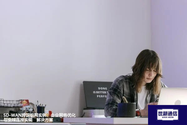 SD-WAN跨国组网实例：企业网络优化与全球连接实现--解决方案//世耕通信全球办公专网专线